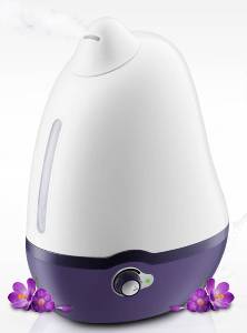 Dr Trust Cool Mist Humidifier