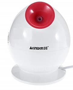 Kingdom Facial Steamer