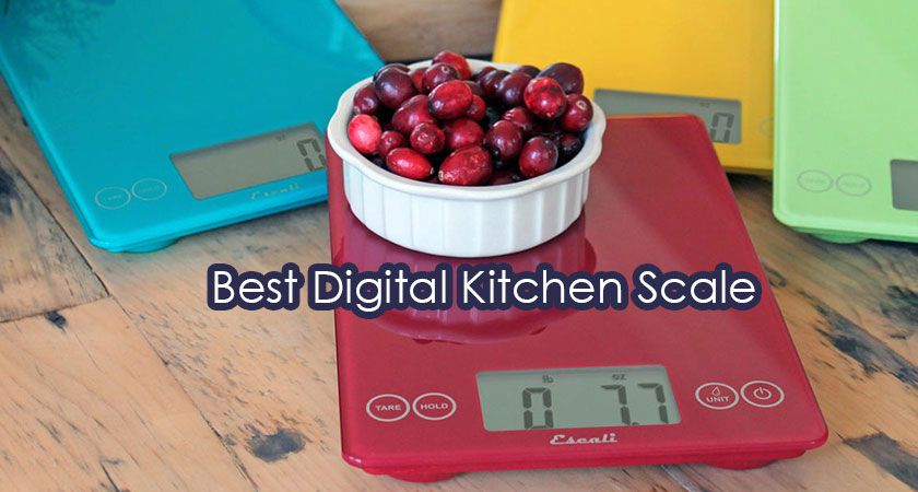 7 Best Digital Kitchen Scale of 2023 to Measure Ingredients Perfectly