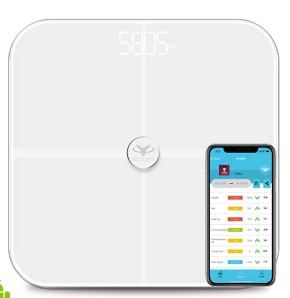 Actofit Smart Bathroom Scale