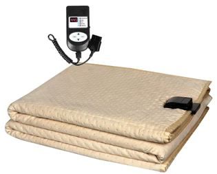 WinterCare Electric Blanket