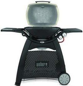 Weber 3200 Best Barbecue Gas Grill