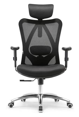 Sihoo Mesh Back Office Chair