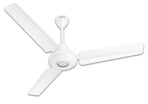 Havells Efficiencia Neo BLDC Fan