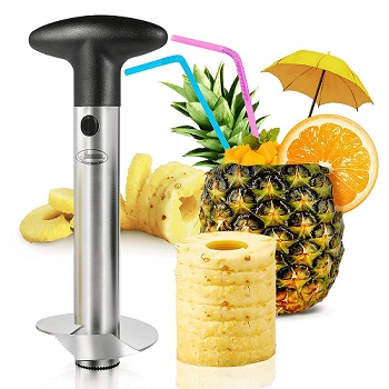 Buyerzone Pineapple Cutter