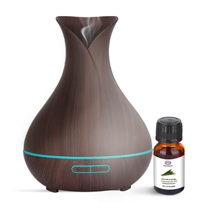Rene Maurice Electric Oil Diffuser